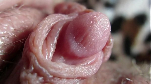 Секс вагина анус клитор ласки (58 фото)